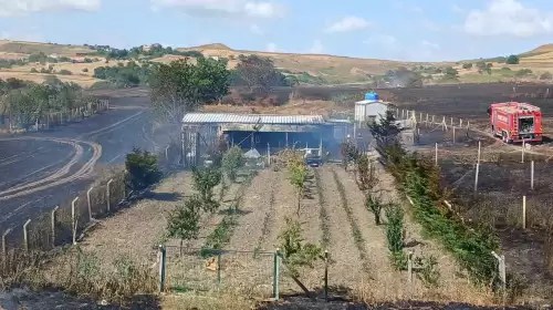 Silivri’de otluk alanda yangın: Alevler yerleşim alanına doğru ilerledi, panik yaşandı